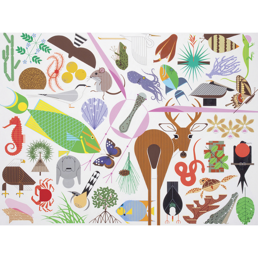 Charley Harper: Wildlife Wonders