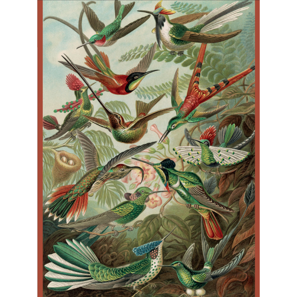 Ernst Haeckel: Hummingbirds