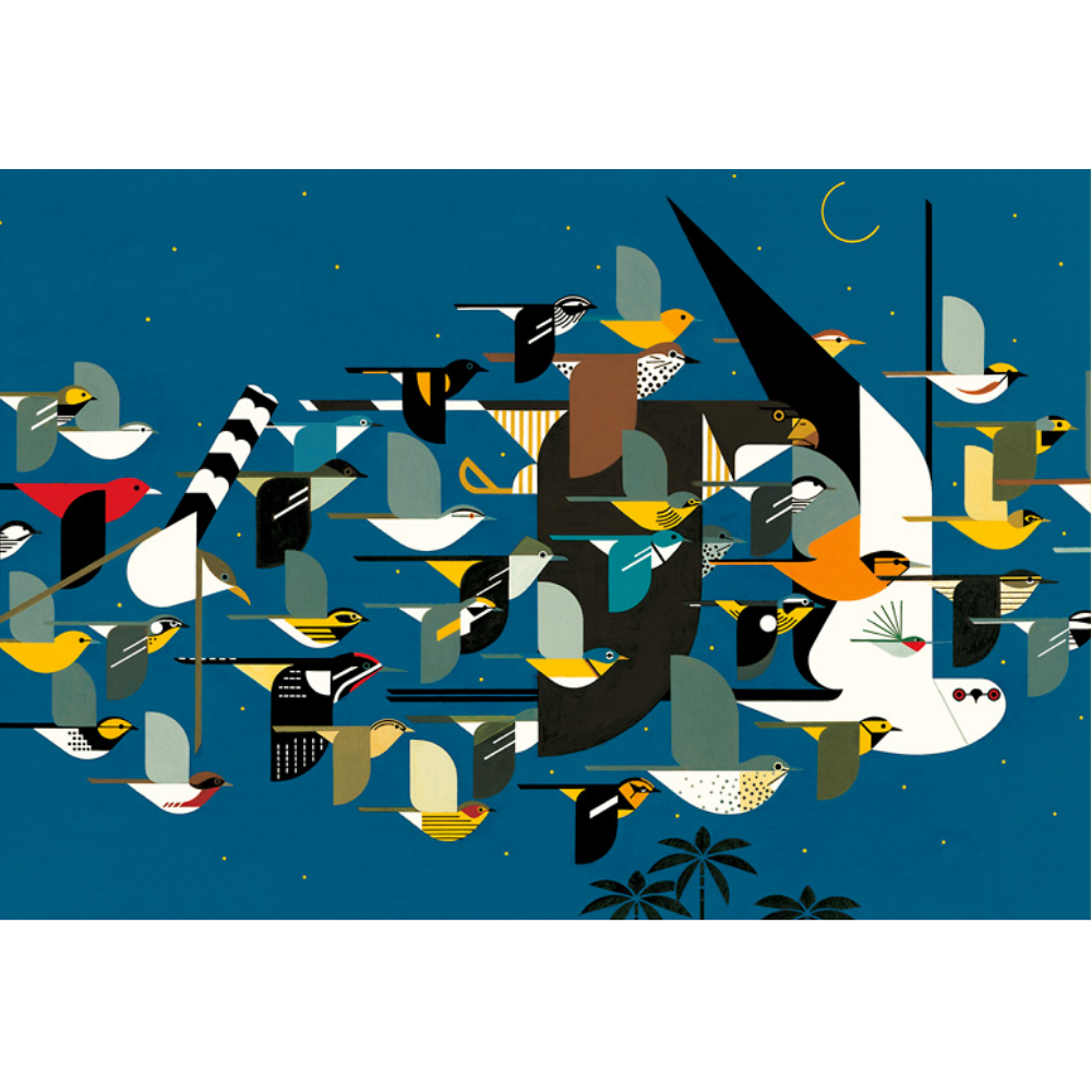 Charley Harper: Mystery of the Missing Migrants