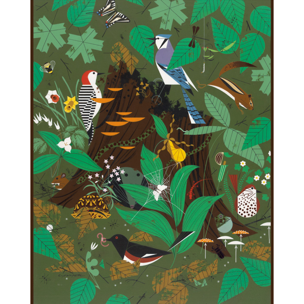 Charley Harper: Woodland Wonders