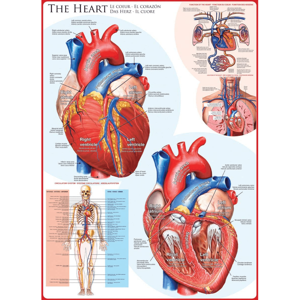 The Heart 1000 piece jigsaw puzzle artwork