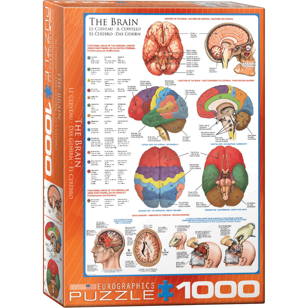 The Brain jigsaw puzzle box