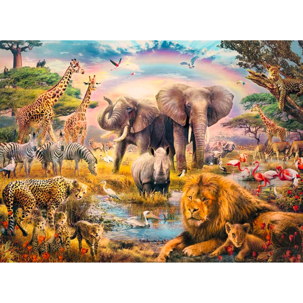 African Safari