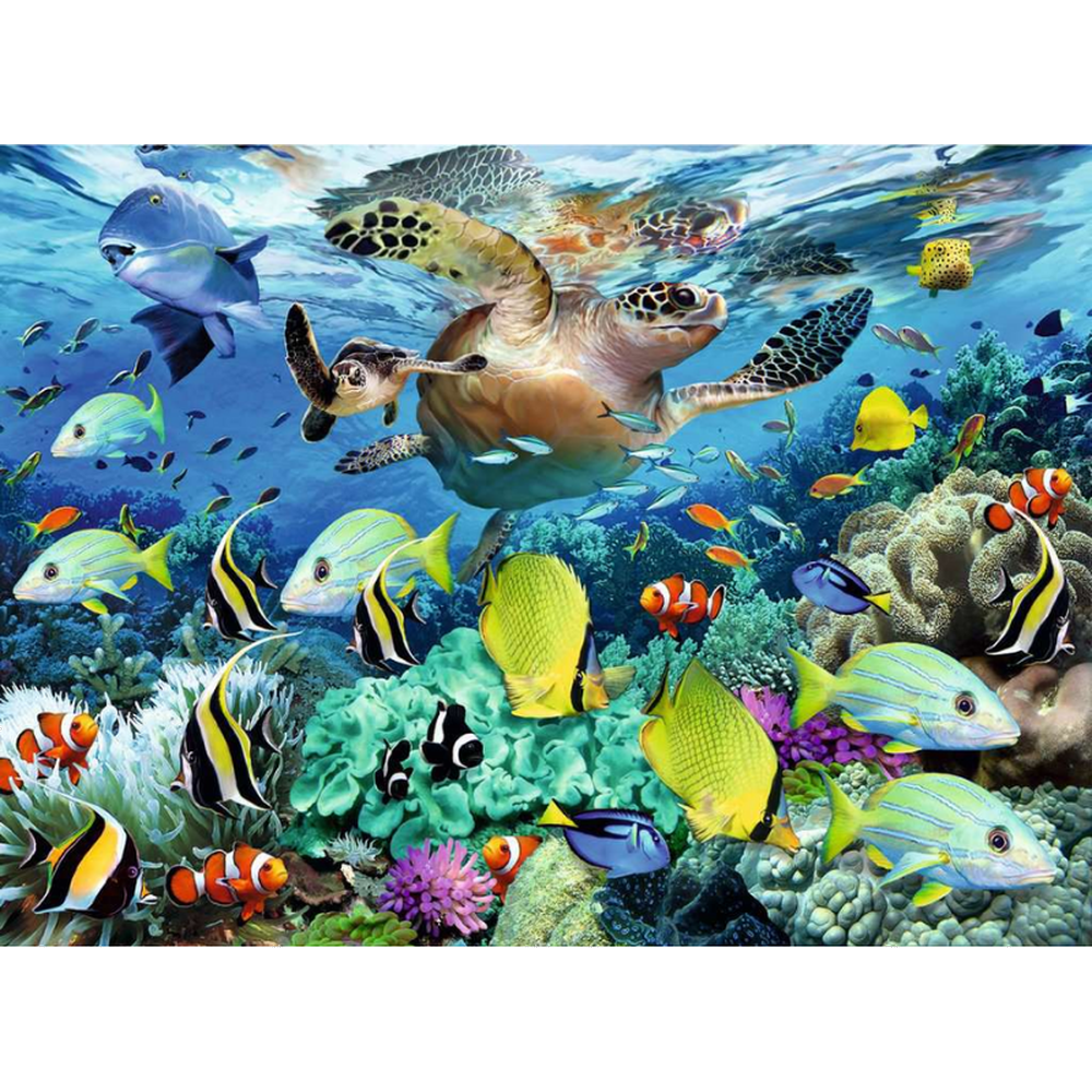 Underwater Paradise