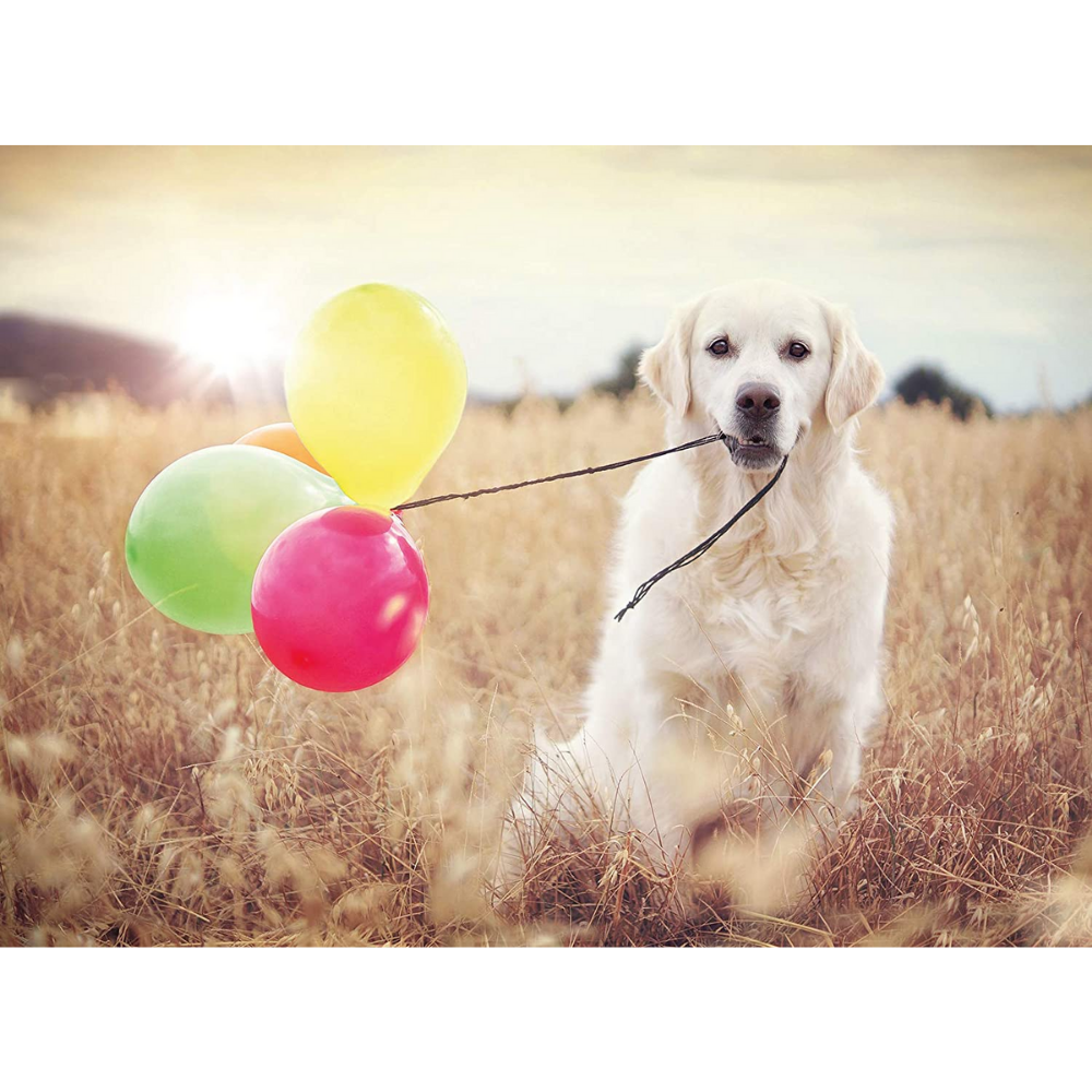 Balloon Party