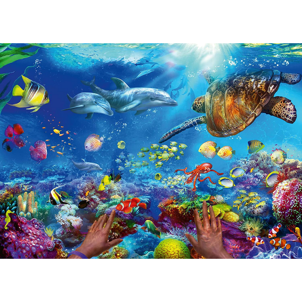 Snorkeling