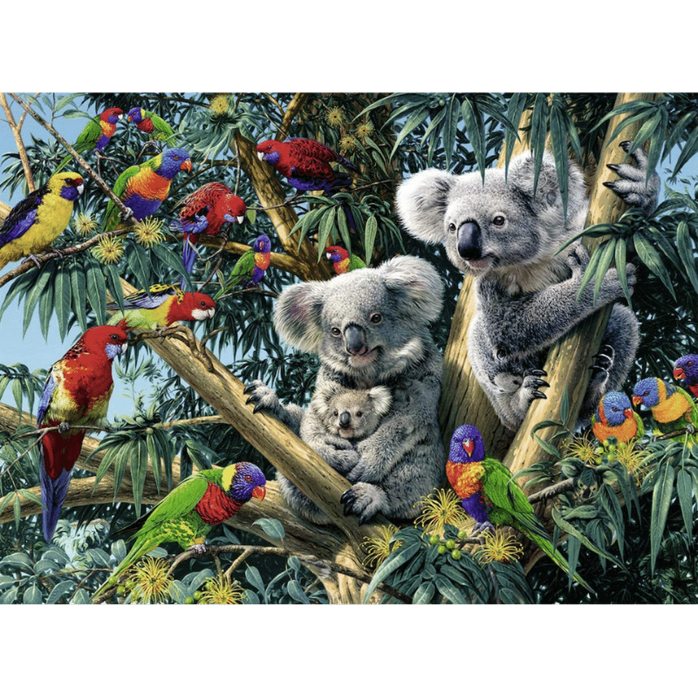 Koalas in a Tree