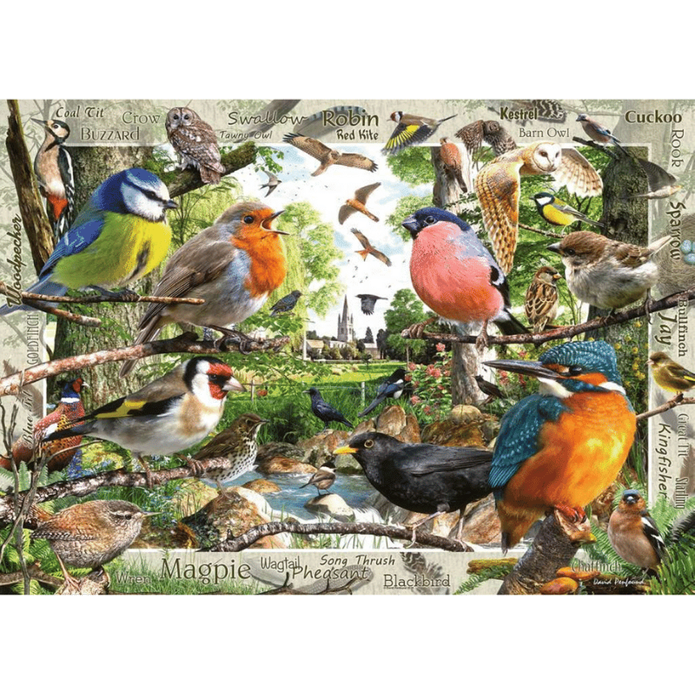 Our Feathered Friends