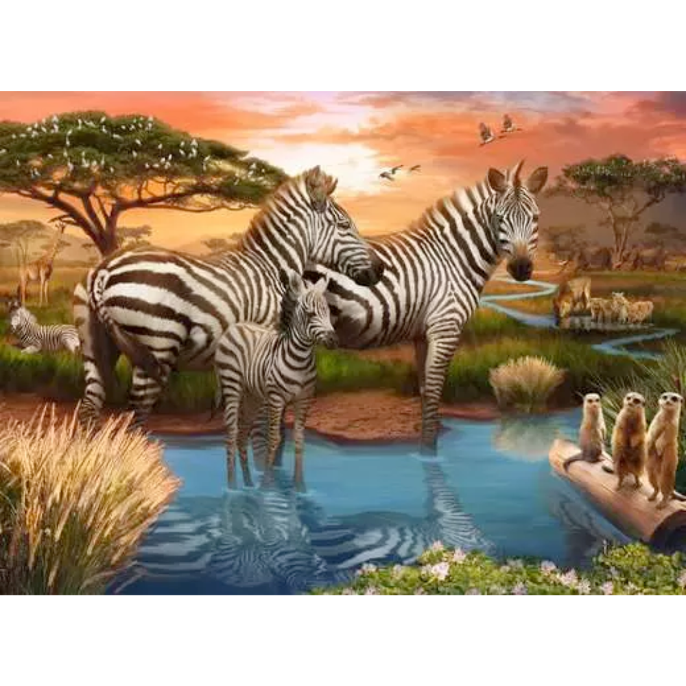 Zebra’s at Waterhole