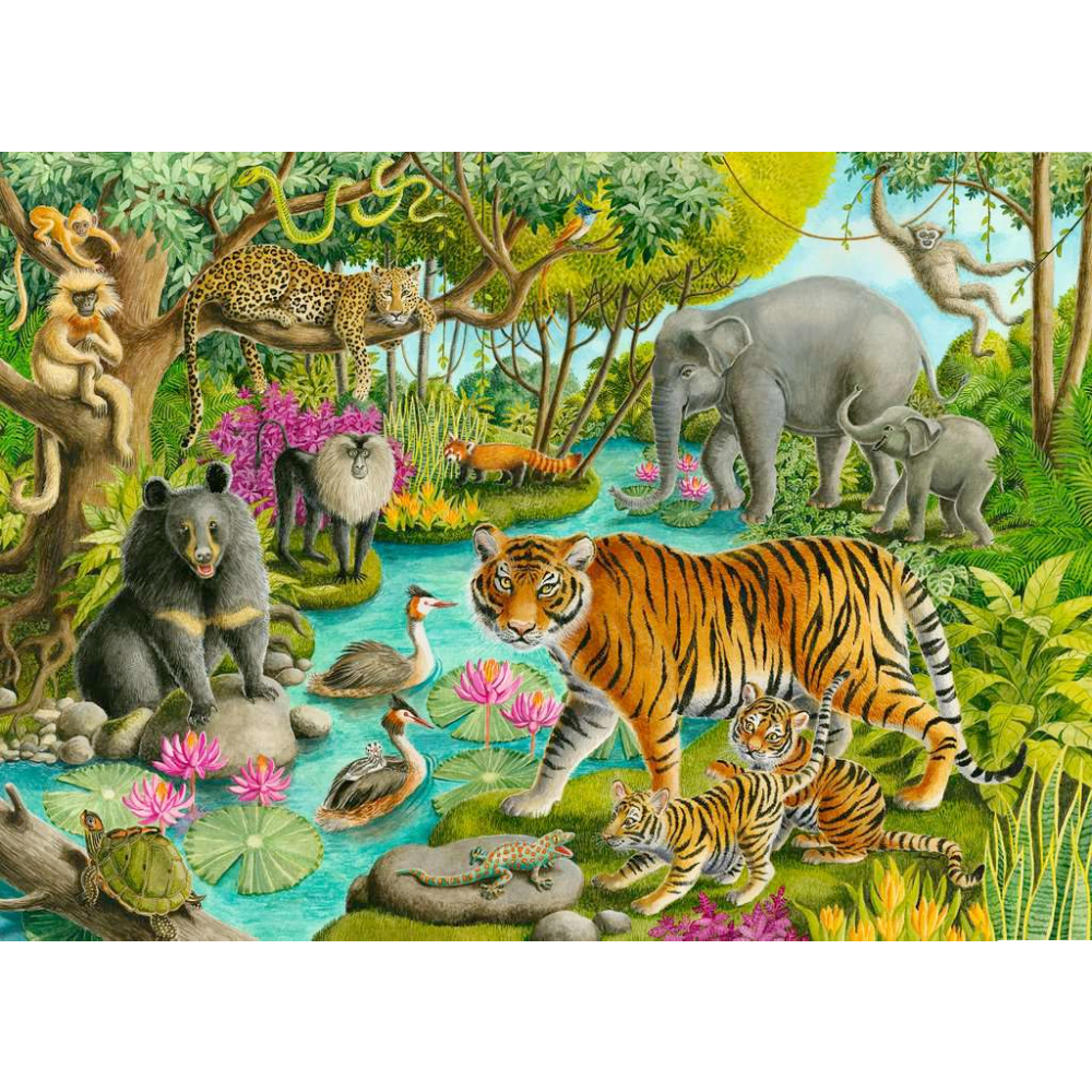 Animals of India