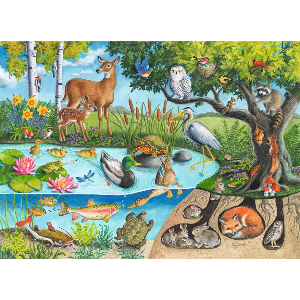 Animals Above & Below