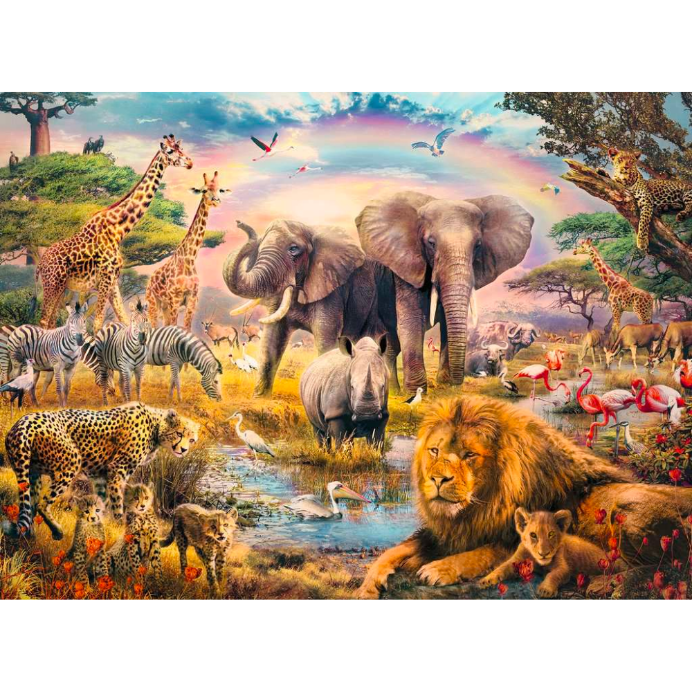 African Safari