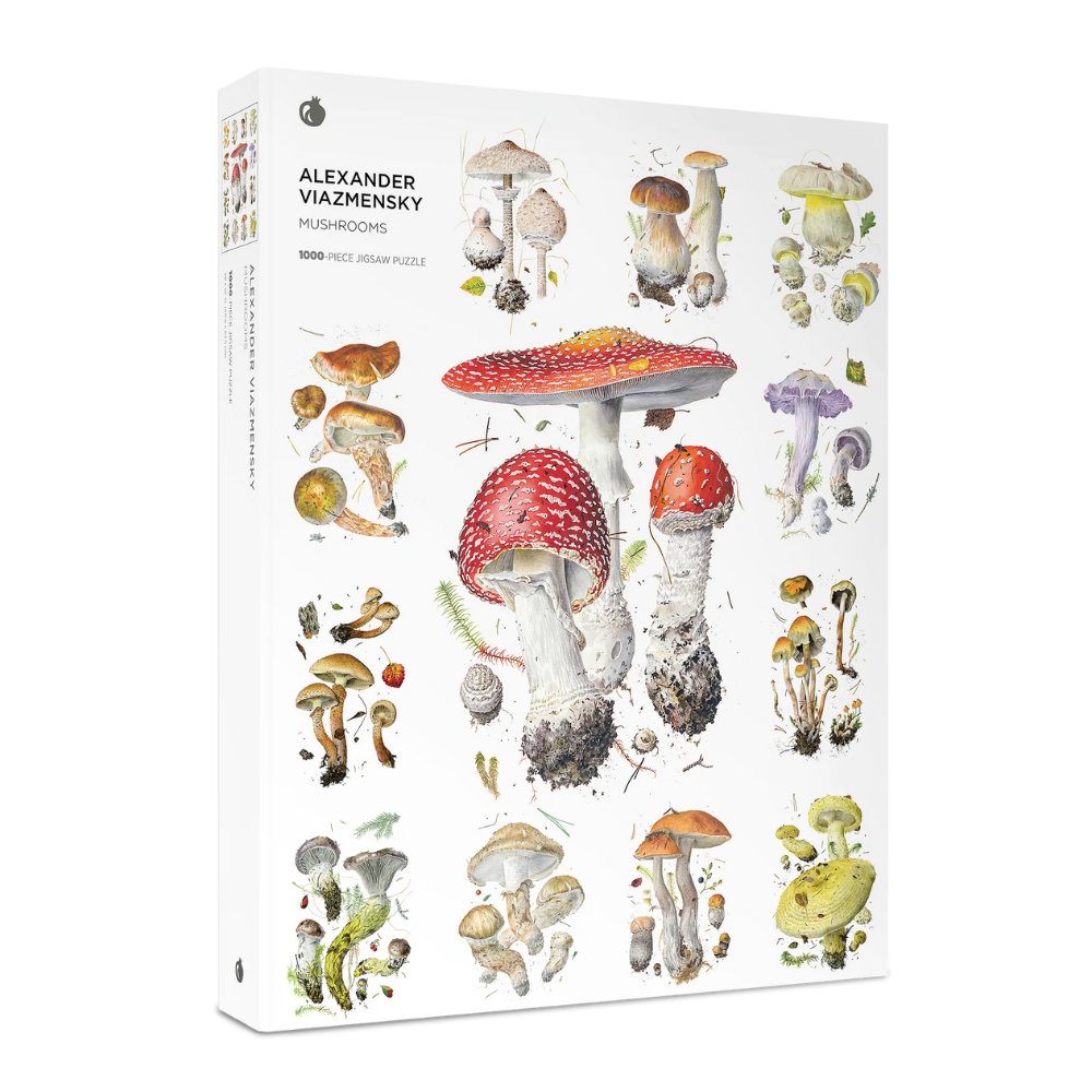 Alexander Viazmensky: Mushrooms