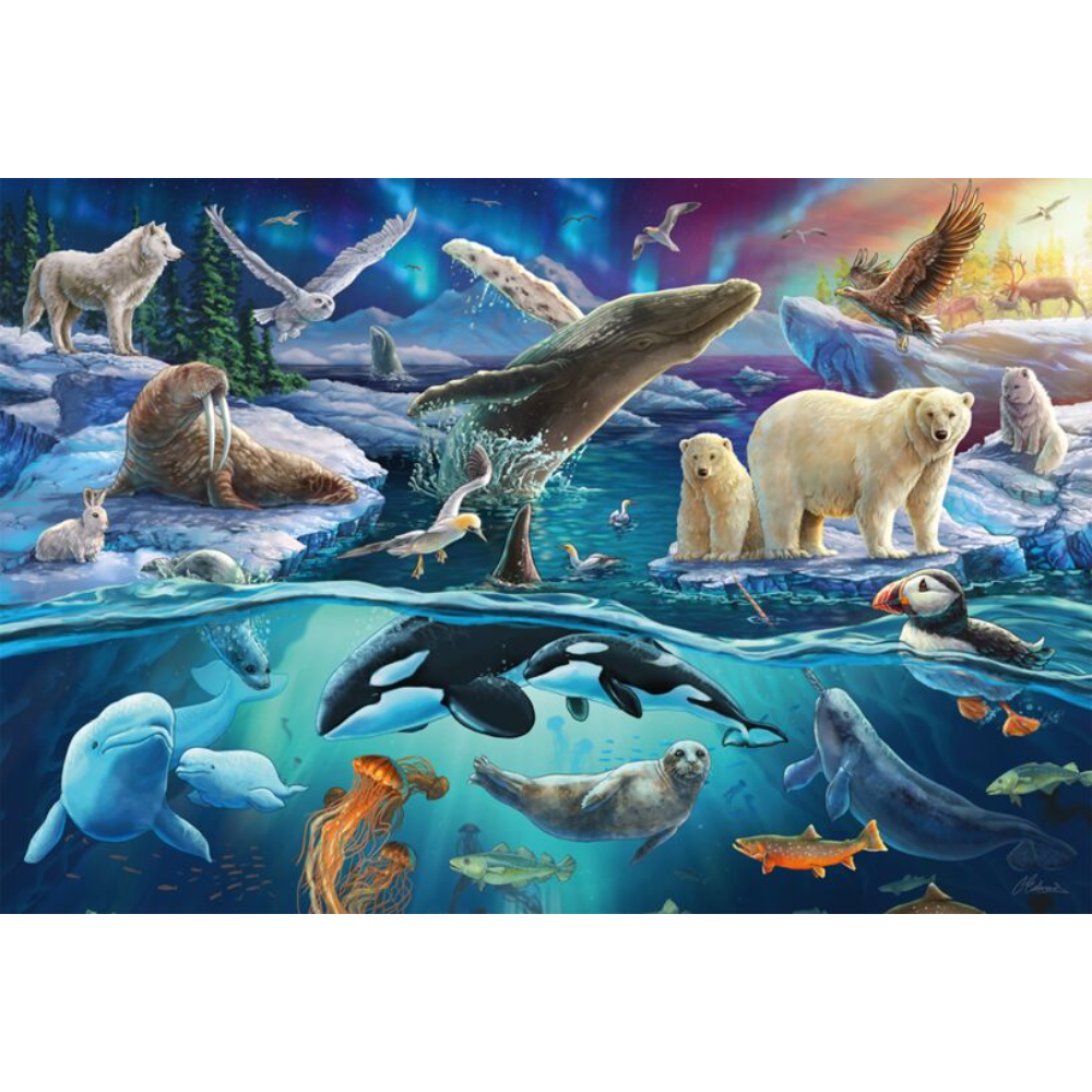 Arctic Animals