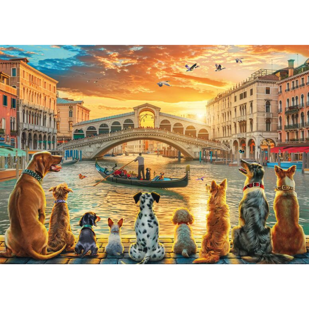 At the Pier - Thirsty Meeples