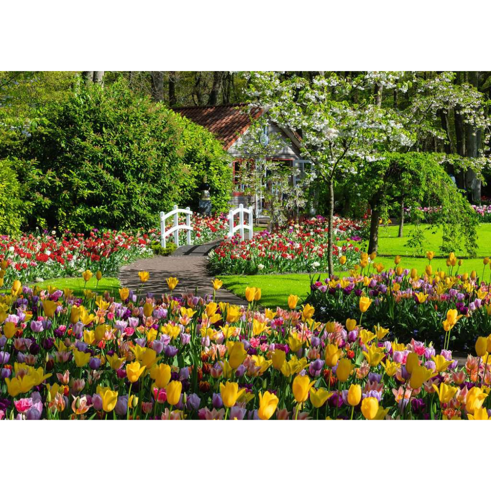 Beautiful Gardens - Netherlands