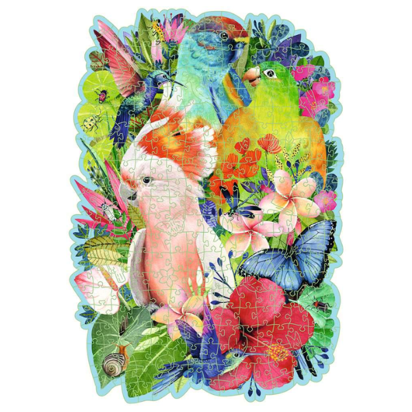 Beautiful Birds