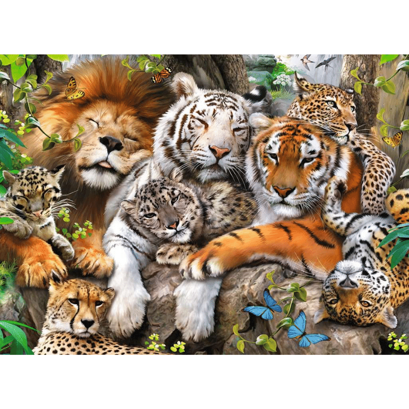 Big Cat Nap