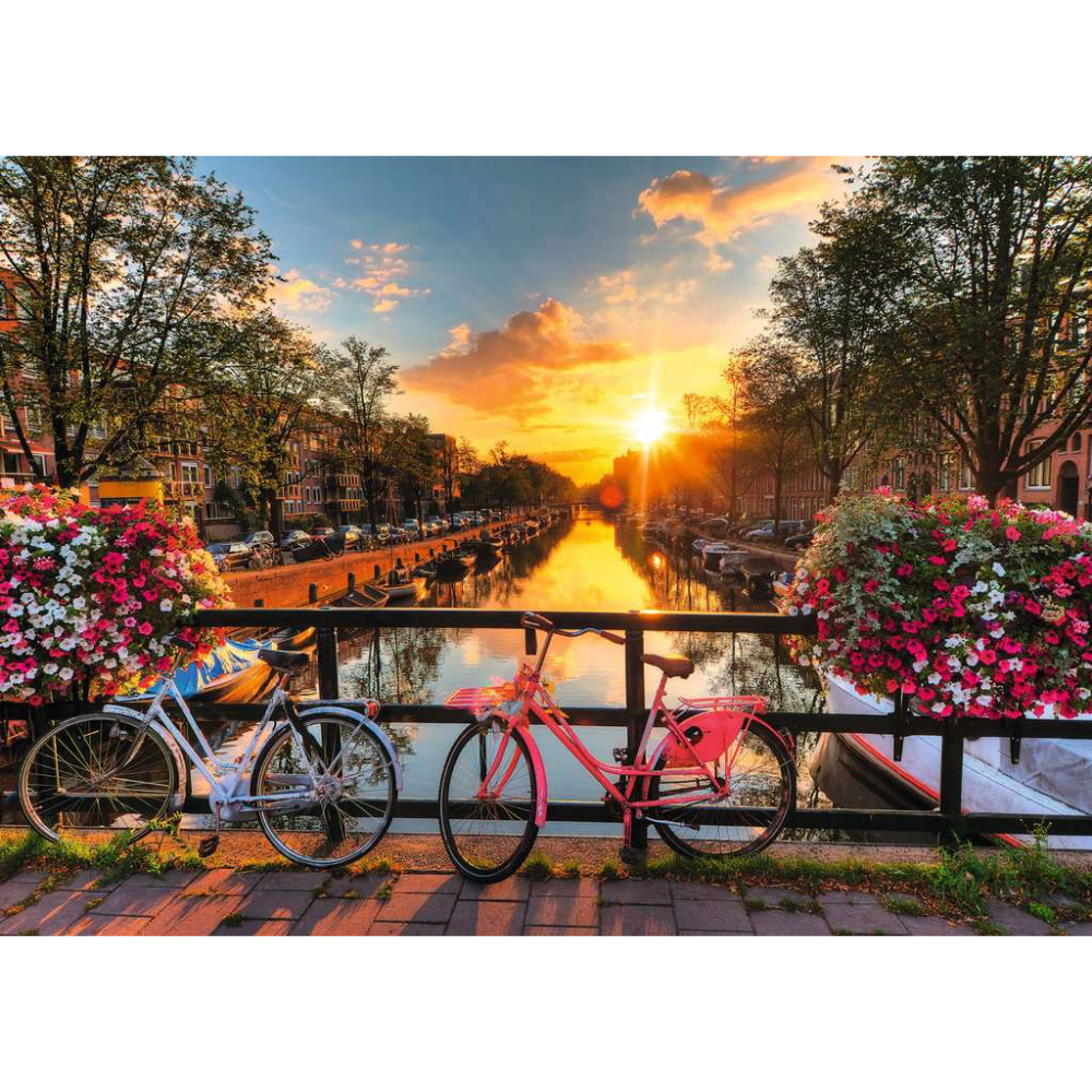 Bicycles of Amsterdam