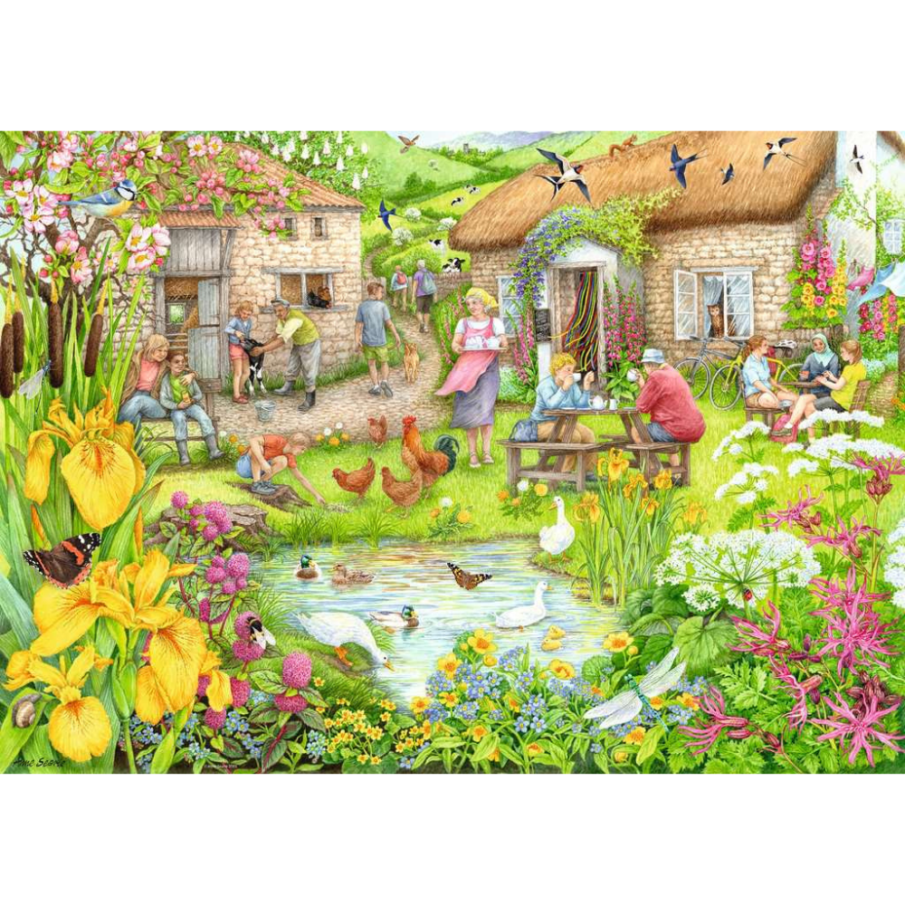 Cosy Café No.3: Valley Café Farm