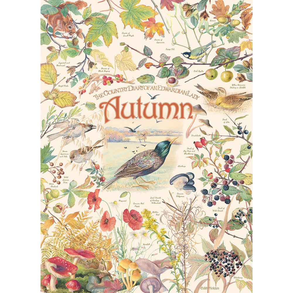 Country Diary: Autumn - Thirsty Meeples