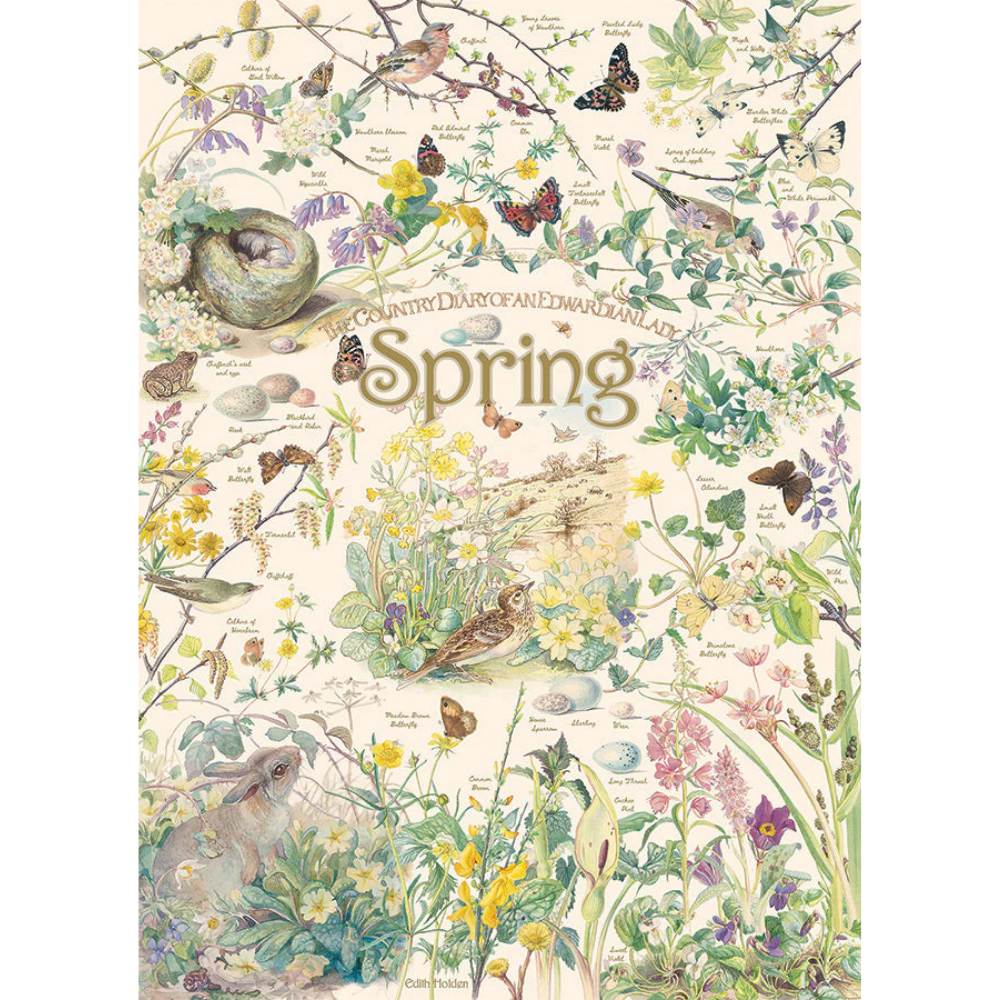 Country Diary: Spring - Thirsty Meeples