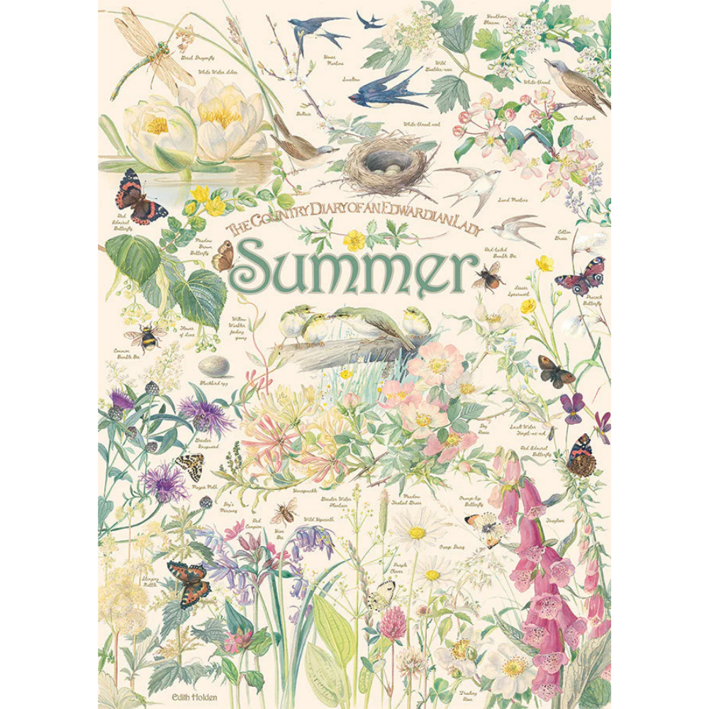 Country Diary: Summer - Thirsty Meeples