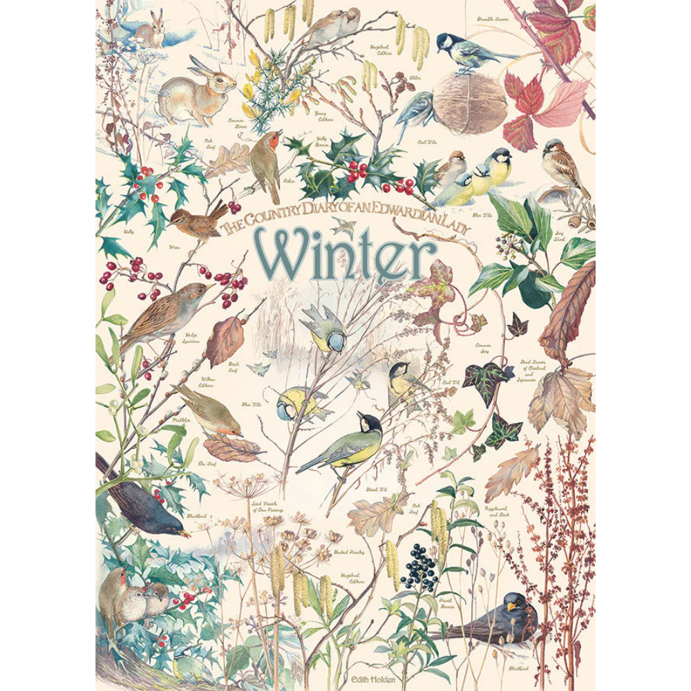 Country Diary: Winter - Thirsty Meeples