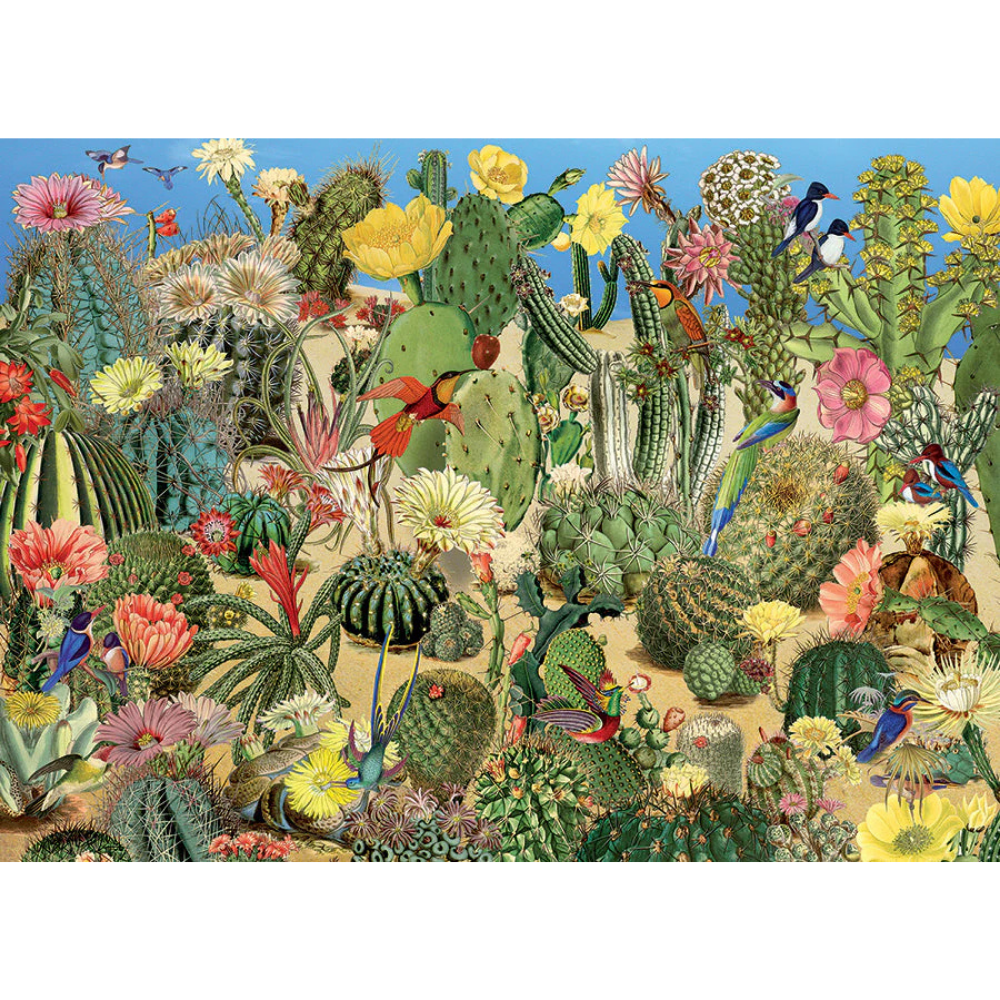 Cactus Garden