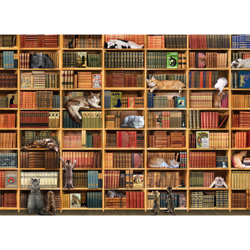 Cat Library - Thirsty Meeples
