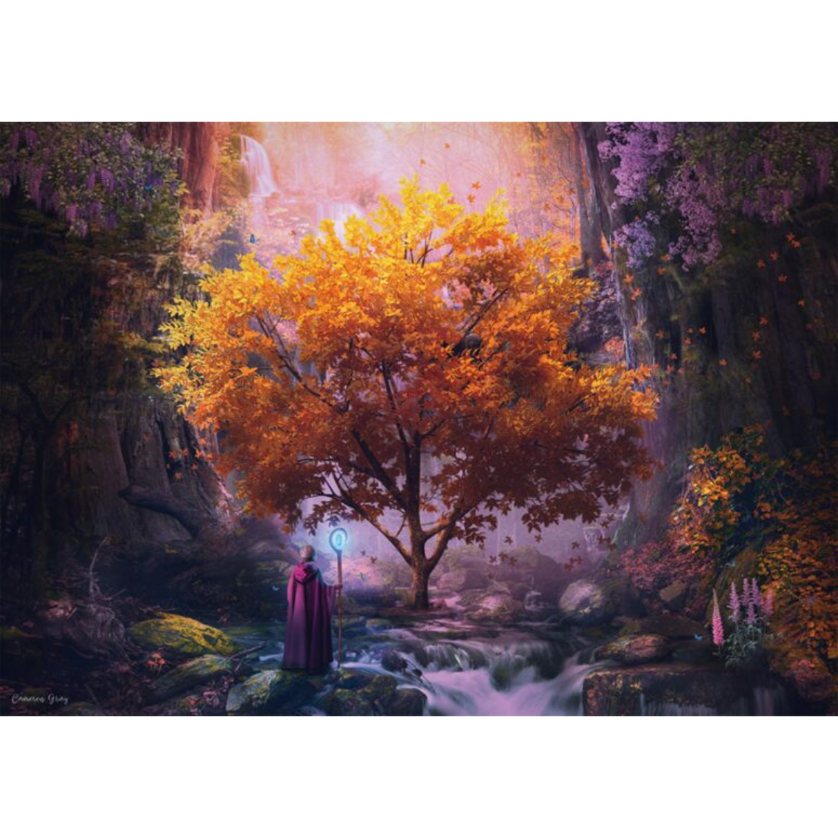 Cameron Gray: Forest Magic