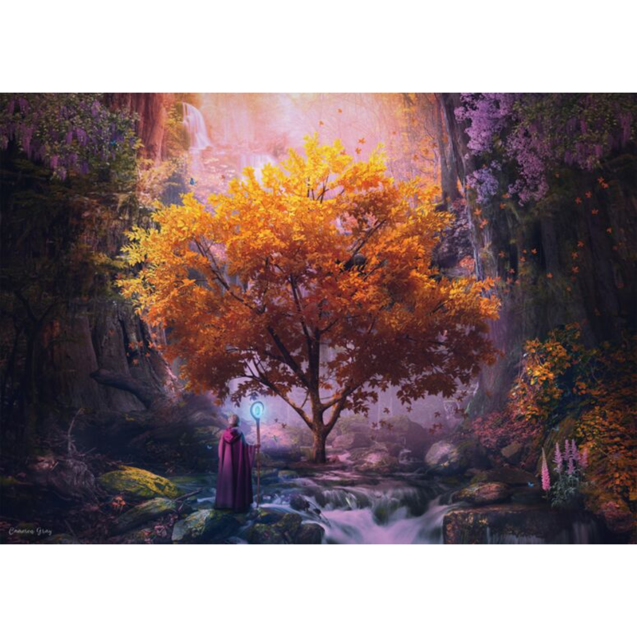 Cameron Gray: Forest Magic