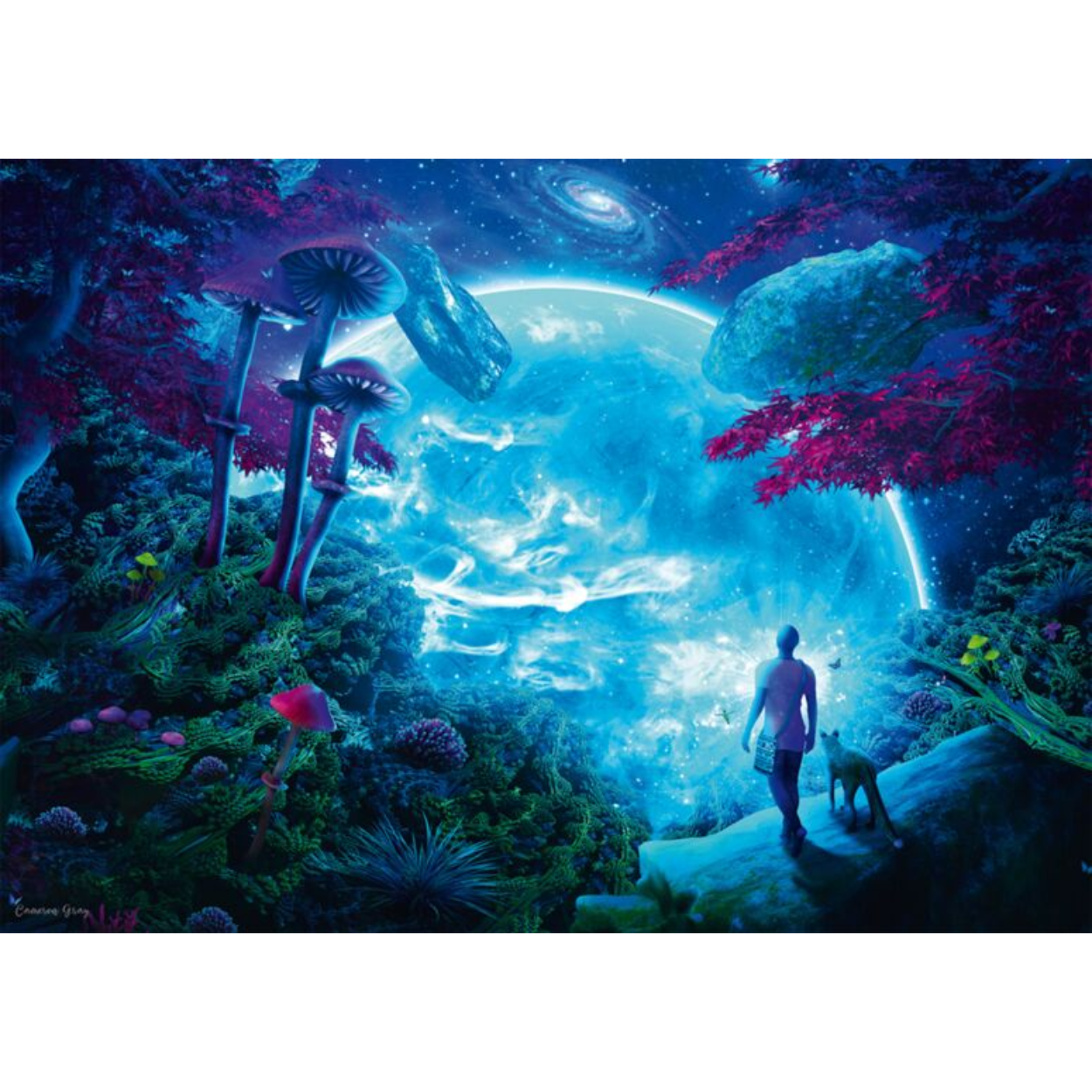 Cameron Gray: Heaven Fantasy