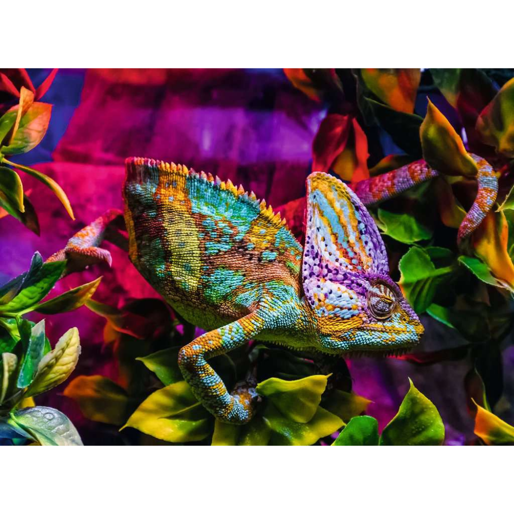 Chameleon