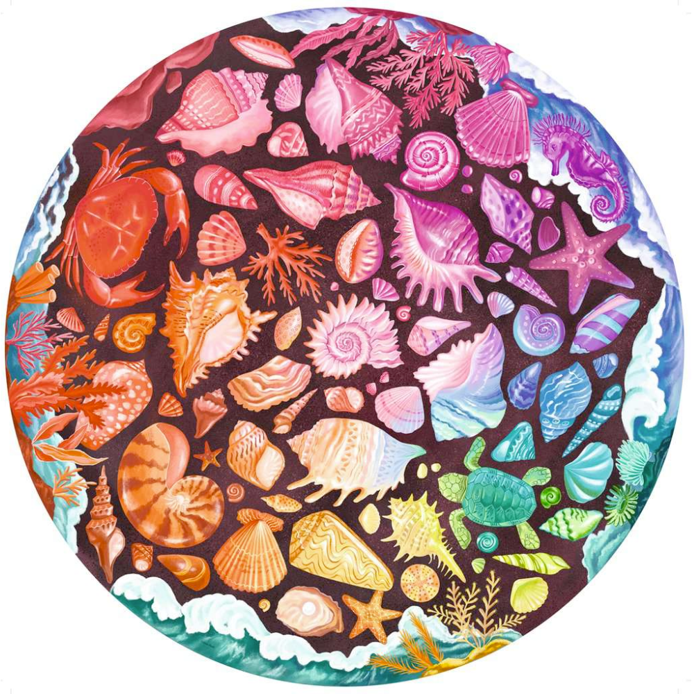 Circle of Colours: Seashells