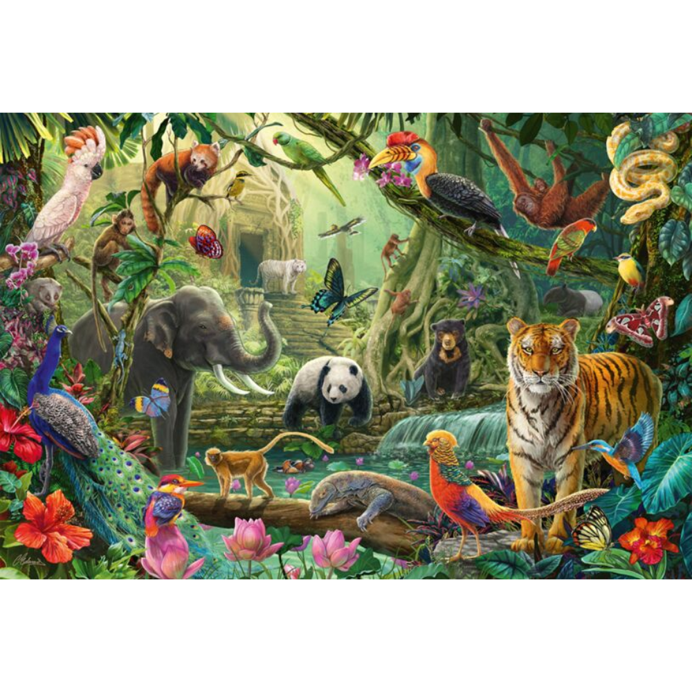 Colourful Jungle Wildlife