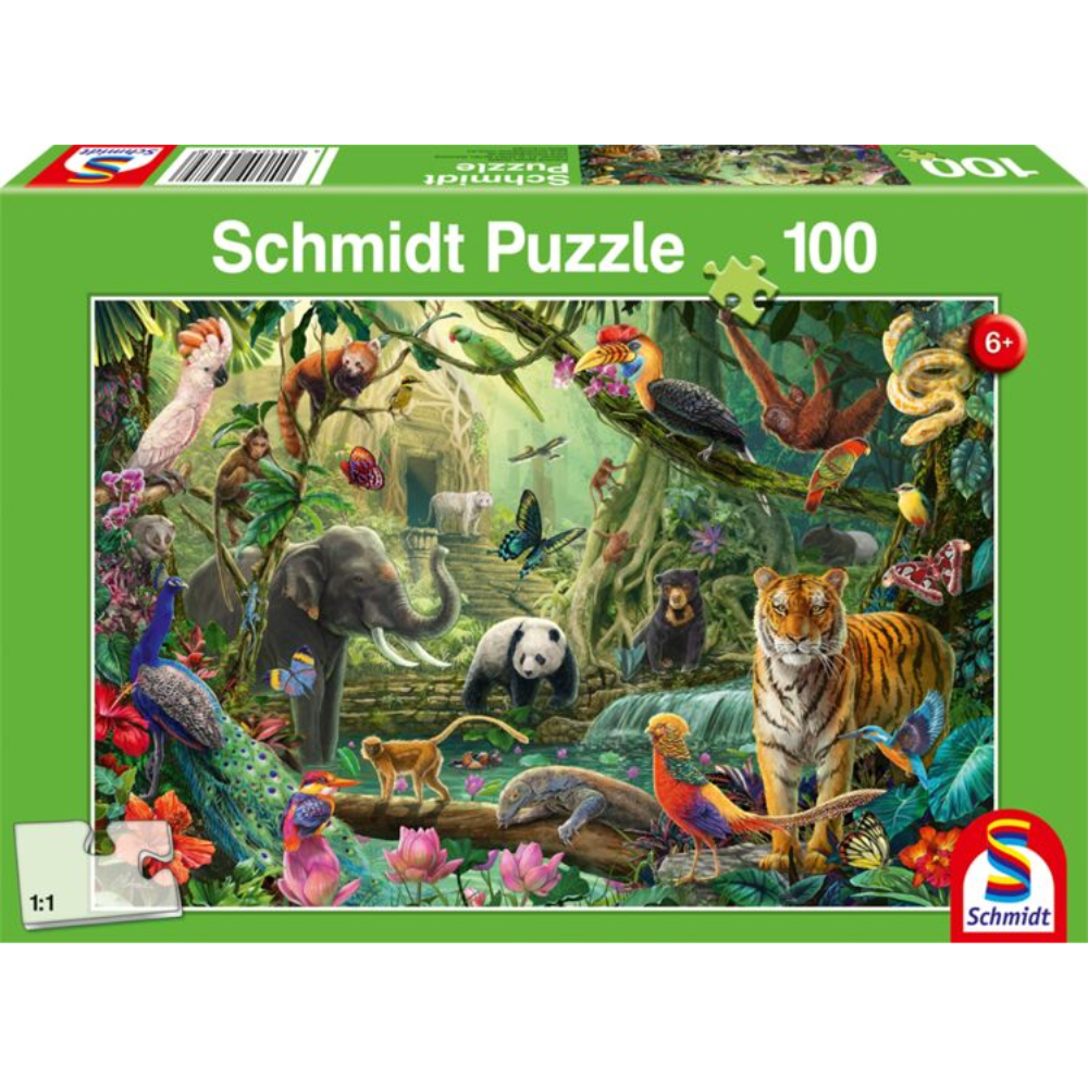 Colourful Jungle Wildlife