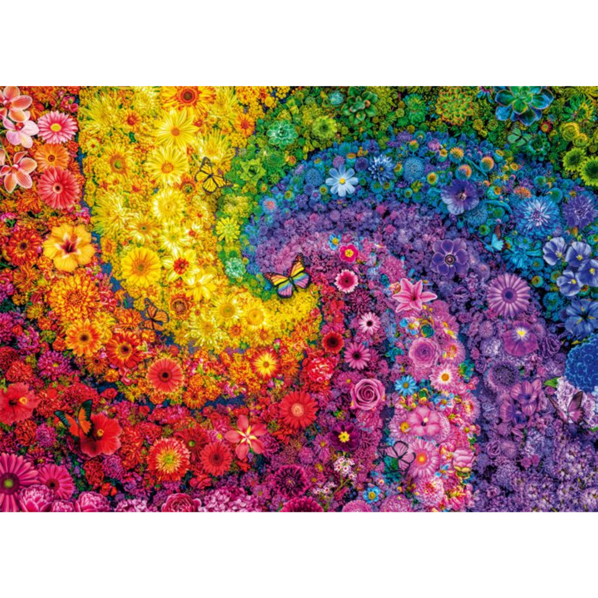 Colourful Swirl of Flowers