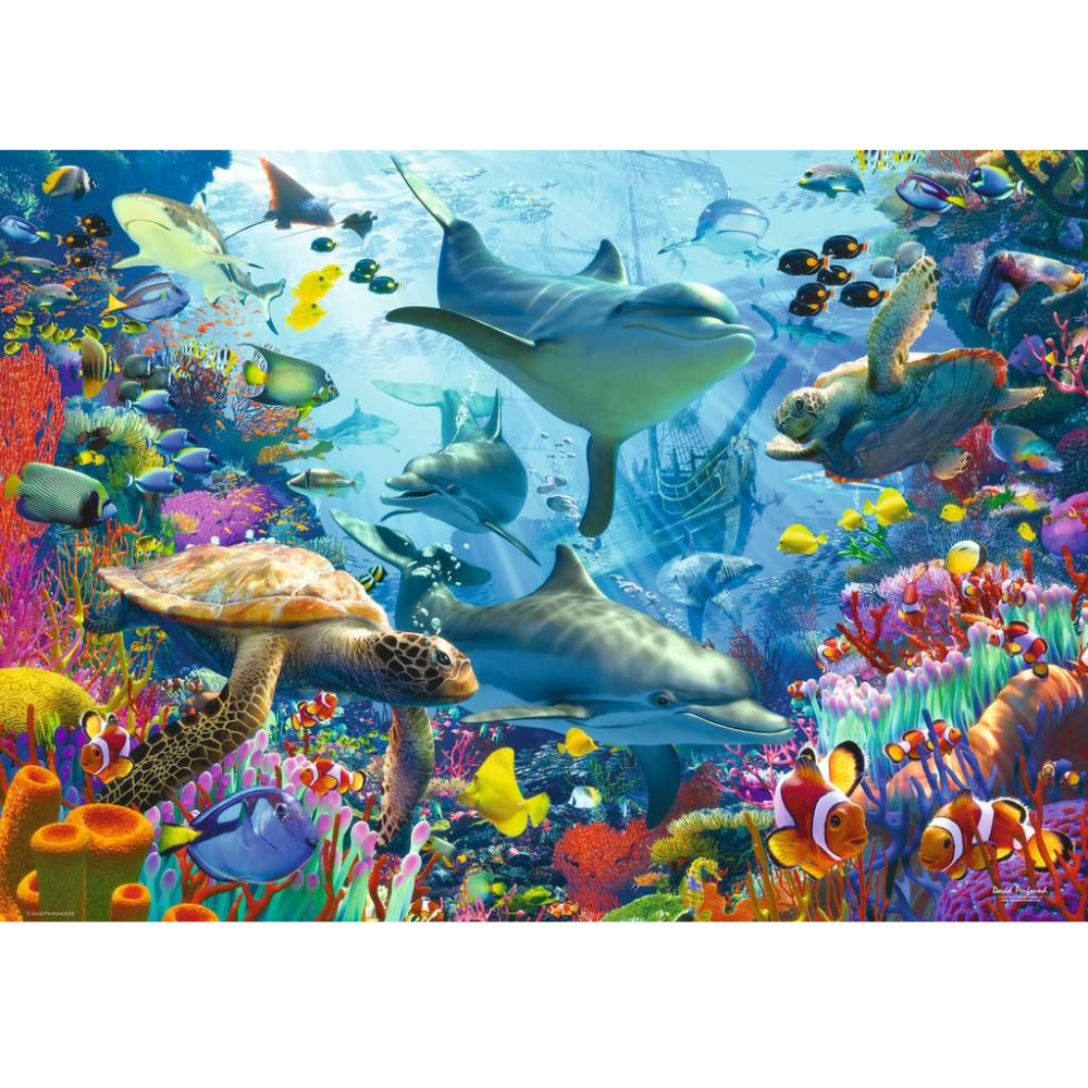 Coral Reef Retreat