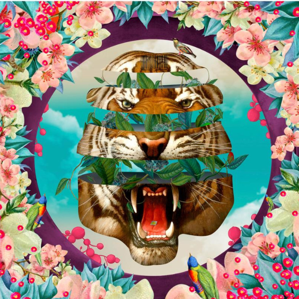 David Krovblit: Vision Quest