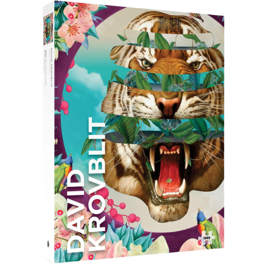 David Krovblit: Vision Quest