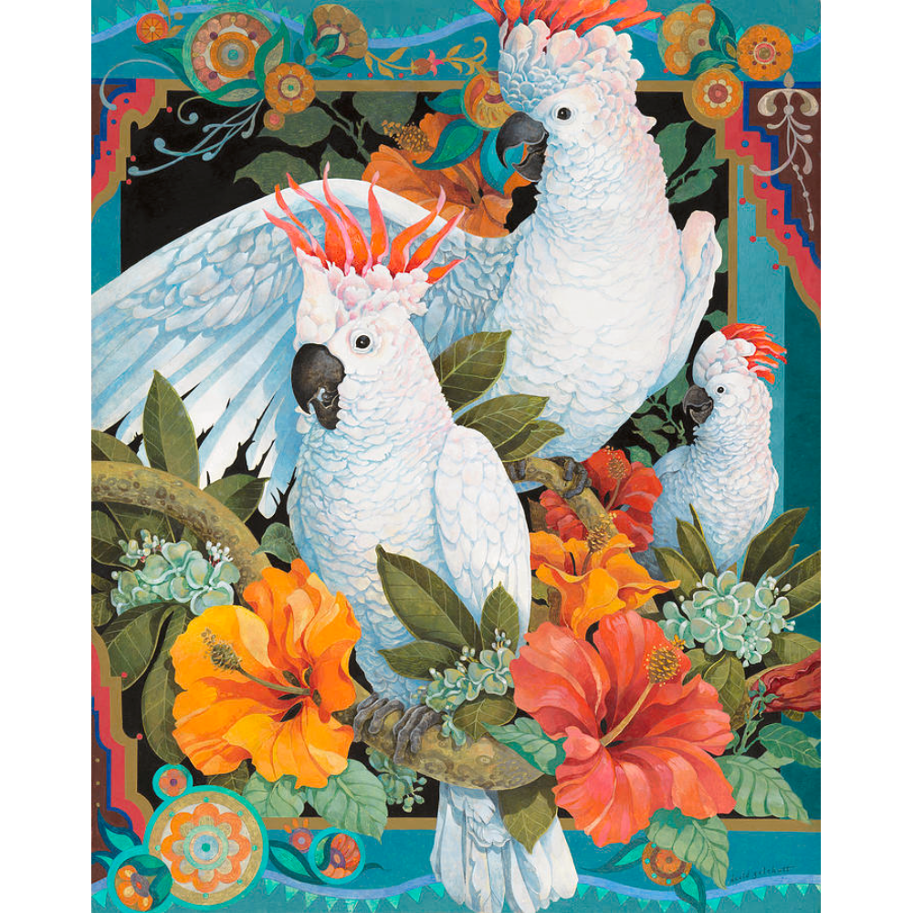 David Galchutt: Tropical Trio