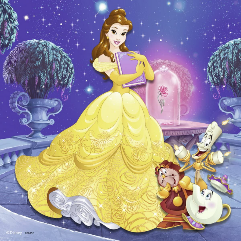 Disney Princess Adventure