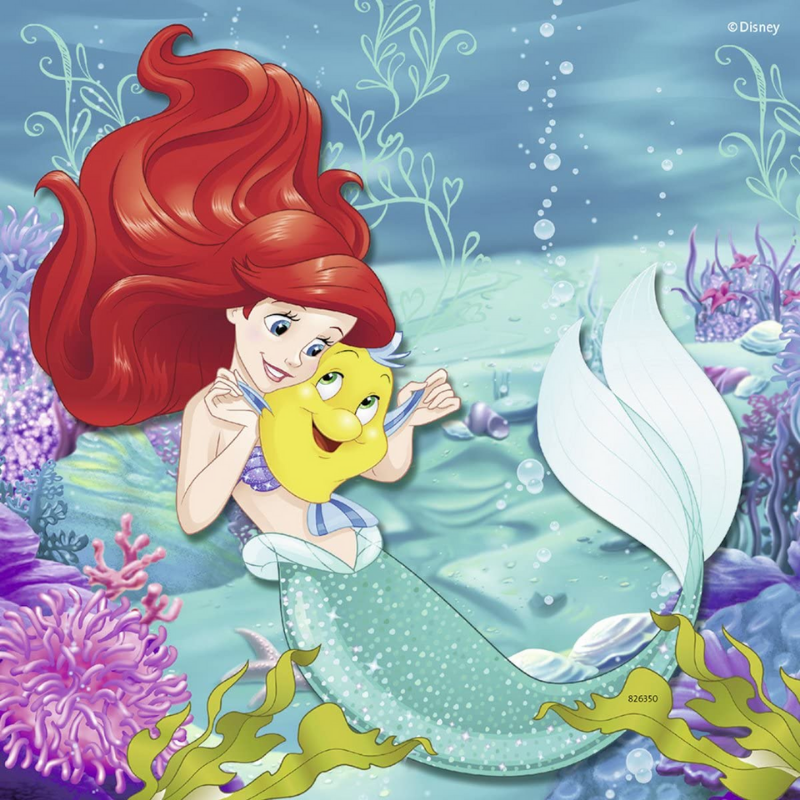 Disney Princess Adventure