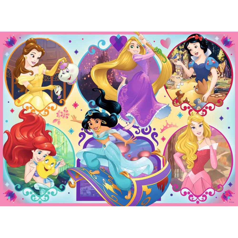Disney Princess Collection