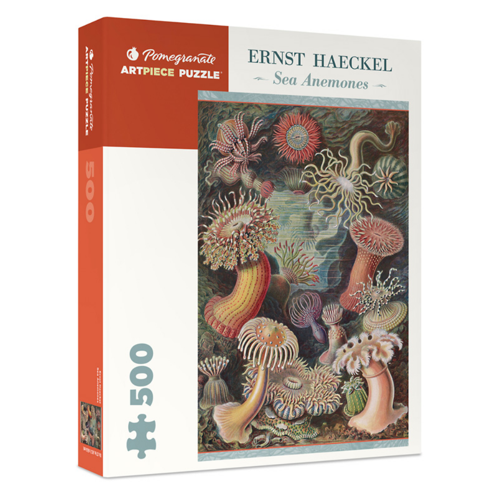 Ernst Haeckel: Sea Anemones - Thirsty Meeples