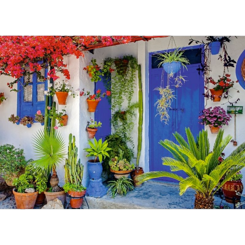 Mediterranean Door