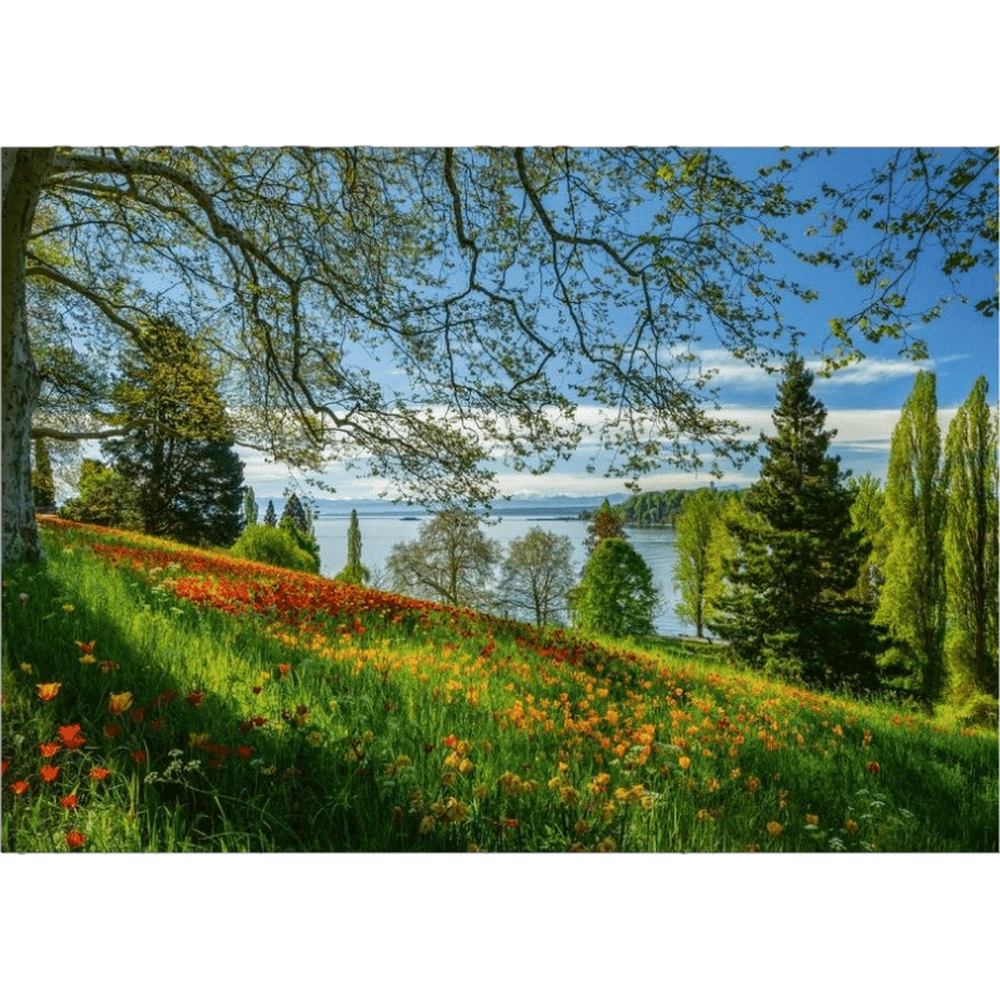 Spring Avenue, Mainau