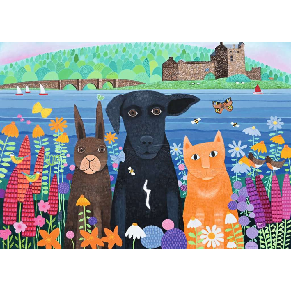 Fun at Eileen Doan Castle