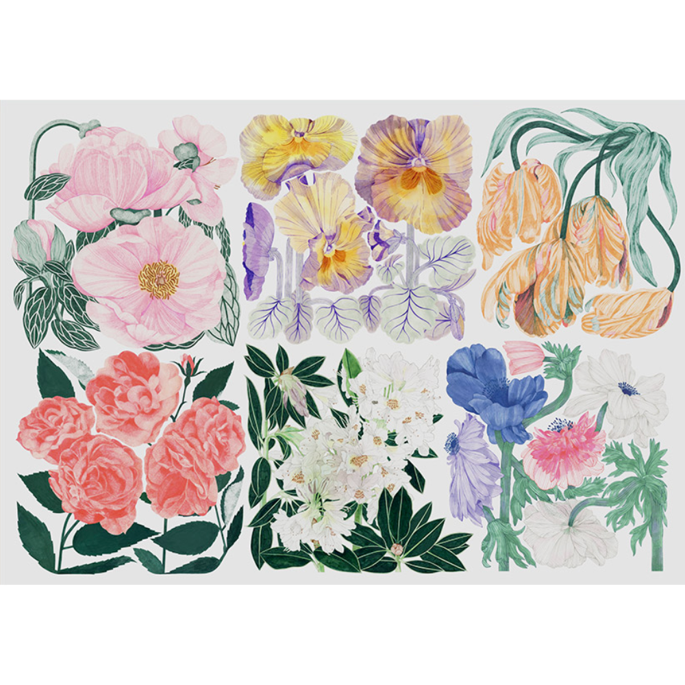 Flora
